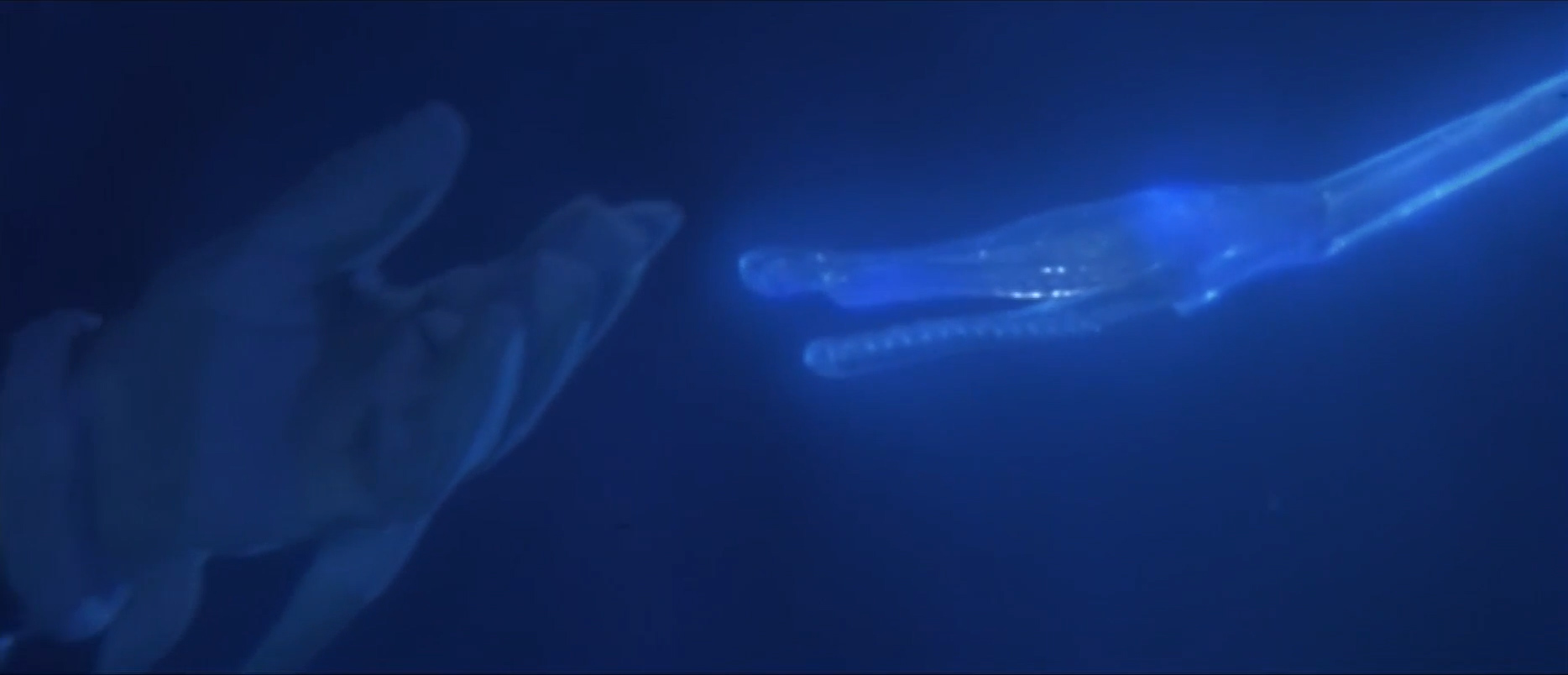 Bud prenant la main d'un non-terrestre – Abyss, 1989, James Cameron, 20th Century Fox