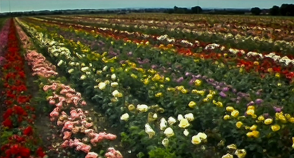 Un champ de fleurs impressionniste
28 Days Later – © 2002 Fox Searchlight