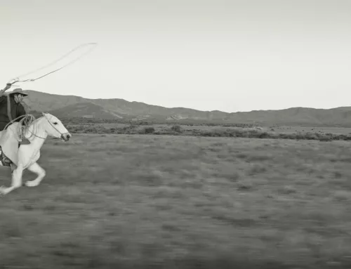 LES CAVALIERS DES TERRES SAUVAGES : Une religion méconnue