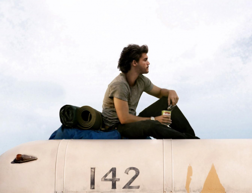 INTO THE WILD : Révolution spirituelle