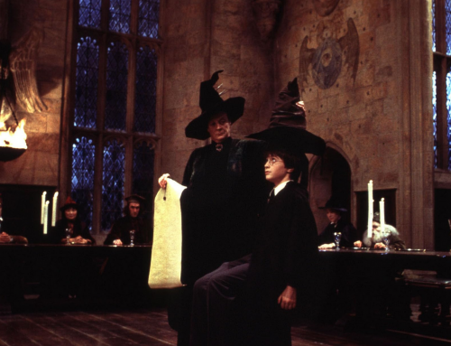 HARRY POTTER À L’ÉCOLE DES SORCIERS : un lourd fardeau posé sur les épaules d&rsquo;un lionceau