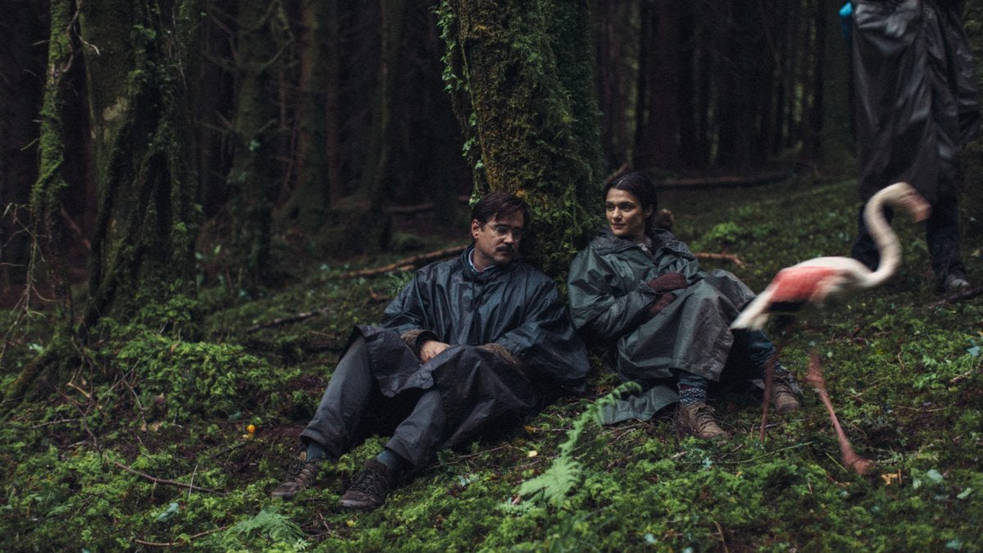 Colin Farrell et Rachel Weisz dans The Lobster