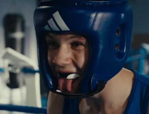 LA DANSE DES RENARDS : Combattre l&rsquo;animosité