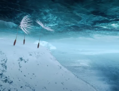 PLANÈTES : L&rsquo;Odyssée du minuscule