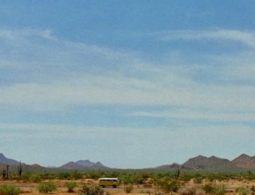 LITTLE MISS SUNSHINE : Le monde se divise en deux, il y a les gagnants et les perdants