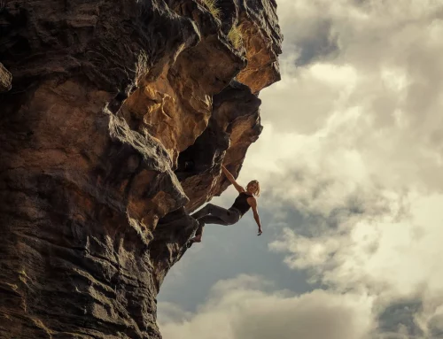 APEX : Un survival qui sonne creux