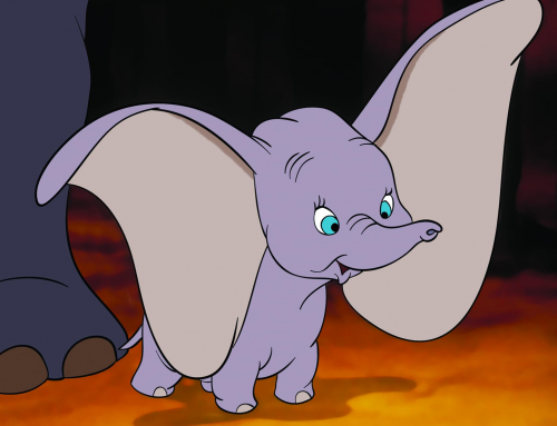 DUMBO : Éduquer à la différence par la tendresse