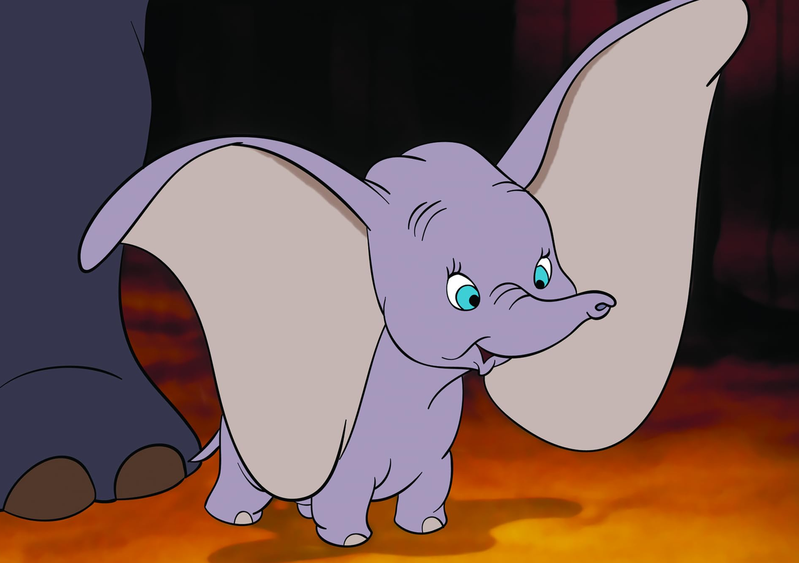 DUMBO : Éduquer à la différence par la tendresse