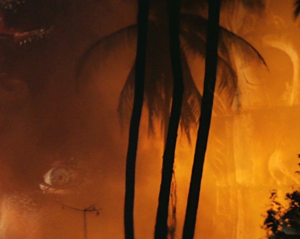 UN JOUR, J&rsquo;AI VU APOCALYSPE NOW…
