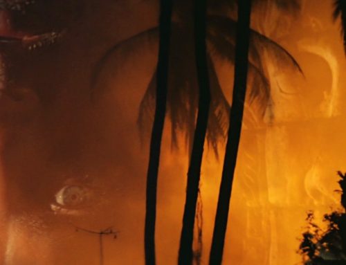 UN JOUR, J&rsquo;AI VU APOCALYSPE NOW…