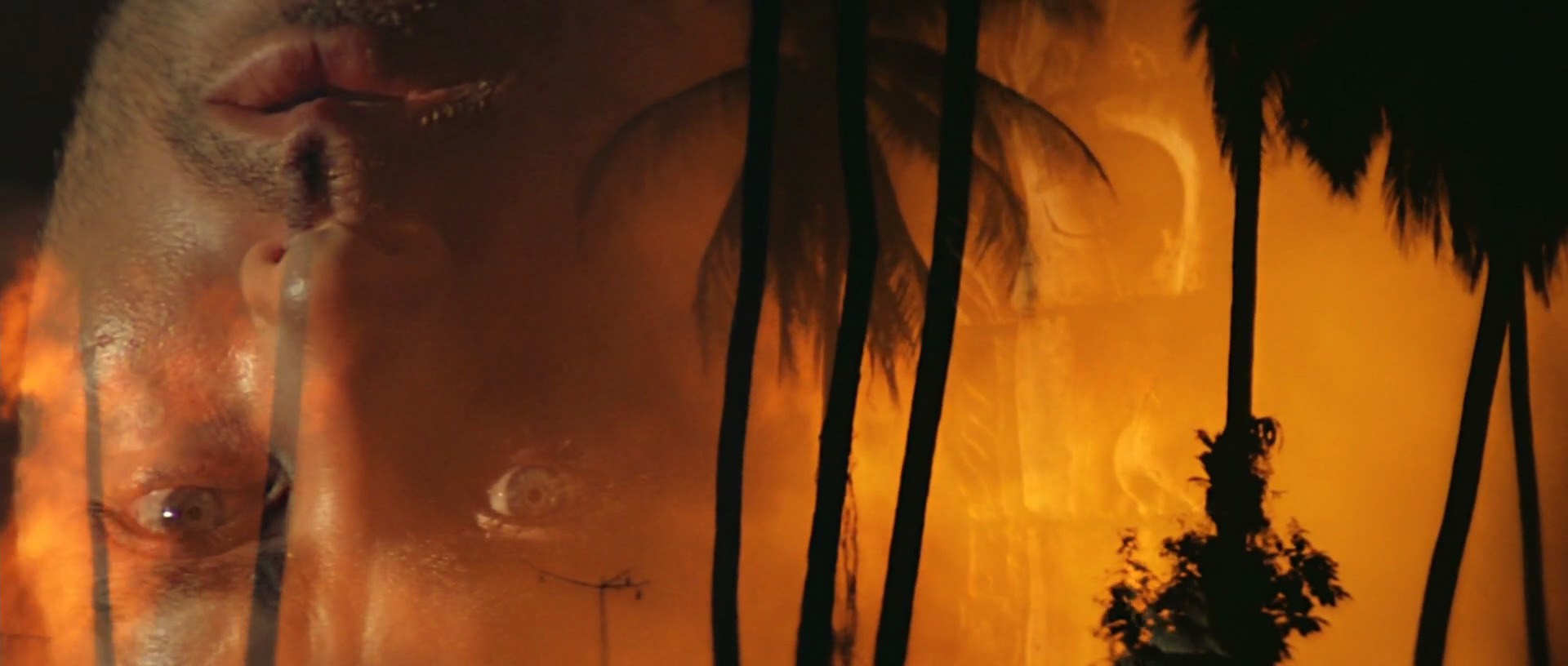 UN JOUR, J&rsquo;AI VU APOCALYSPE NOW…