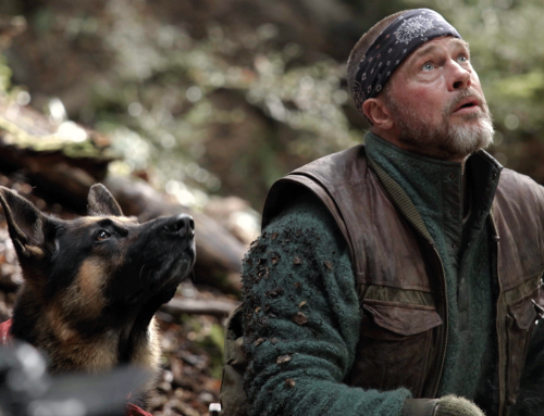 HEART OF THE BEAST : Une balade qui vire au survival