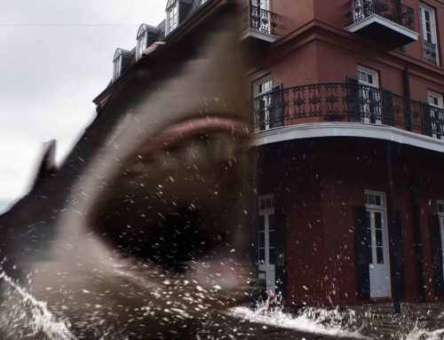 BIG SHARK : La conscience est-elle la limite du nanar ?